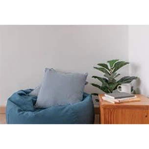 Can A Bean Bag Replace A Couch?